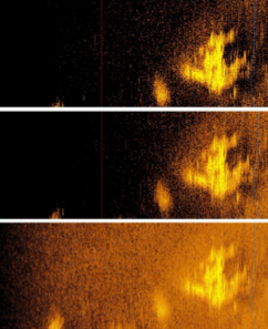 The sonar images taken by Deep Sea Vision that were posted on their official Instagram.