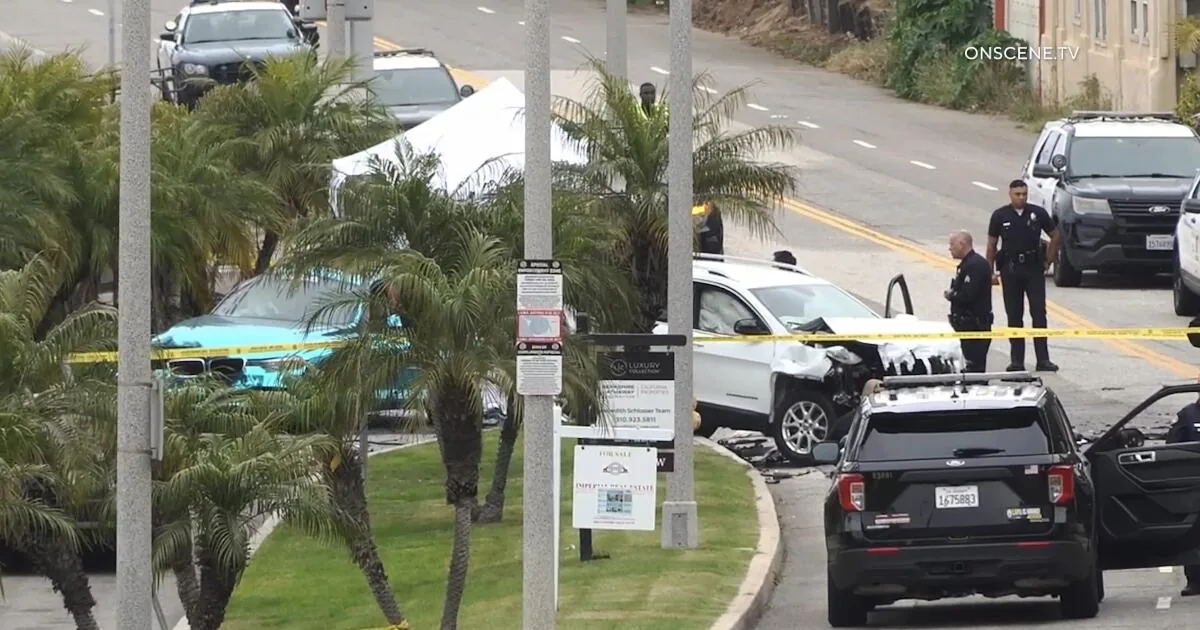 Two People, Including a 1-Year-Old Child, Die in Playa Del Rey Hit-And-Run Crash After Wrong-Way Collision on Vista Del Mar
